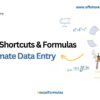 excel data entry
